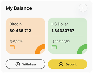 Dashboard-Übersicht der Pelkruvilanz-Automated-Trading-Lösung